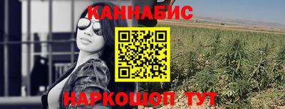тгк Канаш